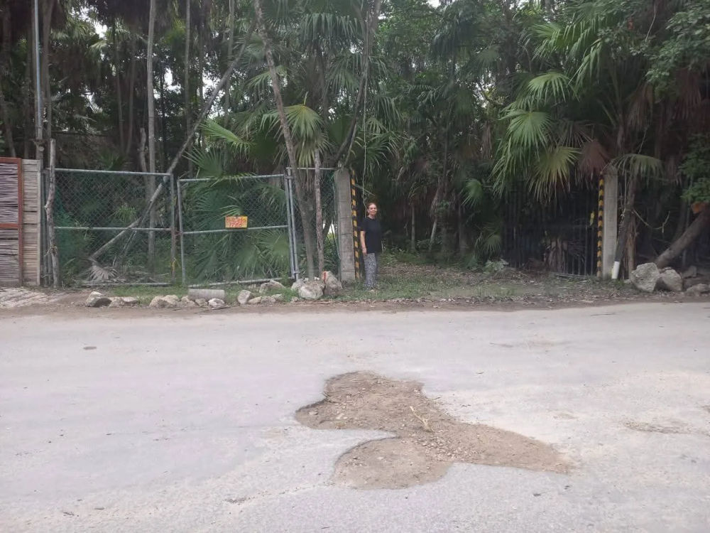 Legal Win Highlights Tulum Property Rights Protection - Photo 1