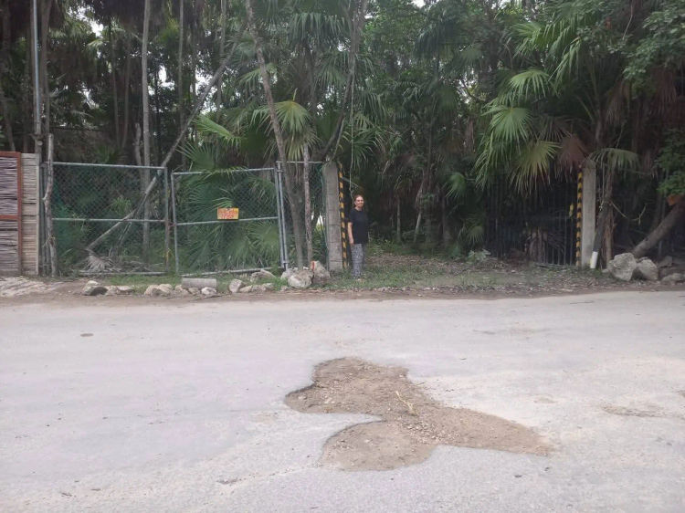 Legal Win Highlights Tulum Property Rights Protection - Photo 1 Legal Win Highlights Tulum Property Rights Protection - Photo 1