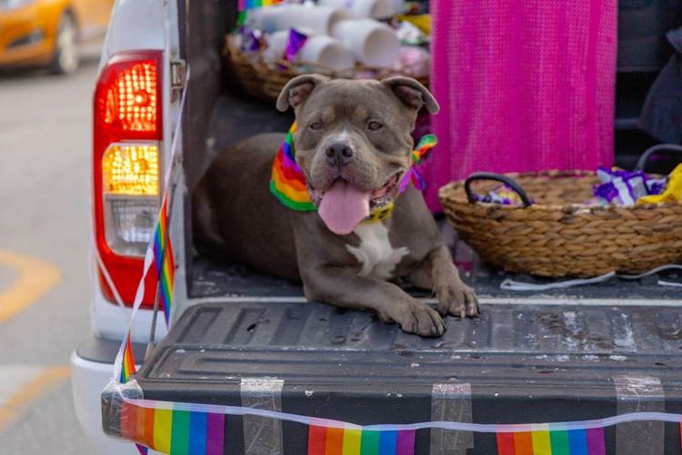 Tulum Pride Parade Unites Locals Tourists and Activists in Vibrant Celebration - Photo 2 Tulum Pride Parade Unites Locals Tourists and Activists in Vibrant Celebration - Photo 2