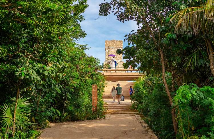 Unlock Free Entry to Parque del Jaguar in Tulum with New Resident ID - Photo 1 Unlock Free Entry to Parque del Jaguar in Tulum with New Resident ID - Photo 1