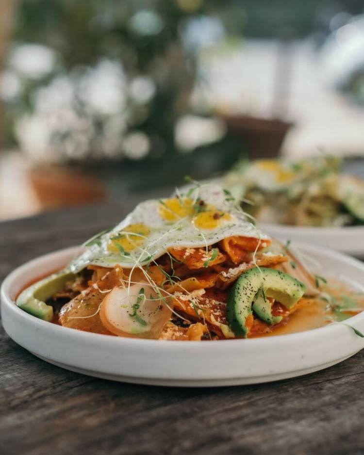 The most authentic Italian bakery in Tulum is now nominated for MexBest 2025 - Photo 6 The most authentic Italian bakery in Tulum is now nominated for MexBest 2025 - Photo 6