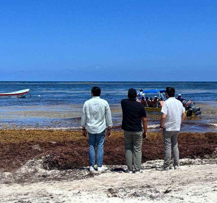 Sargassum Seaweed Influx Prompts New Environmental Strategy - Photo 1 Sargassum Seaweed Influx Prompts New Environmental Strategy - Photo 1