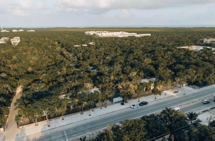 Invest in Titled Residential Lots at Bosque Tulum with Infrastructure - Photo 1 Invest in Titled Residential Lots at Bosque Tulum with Infrastructure - Photo 1