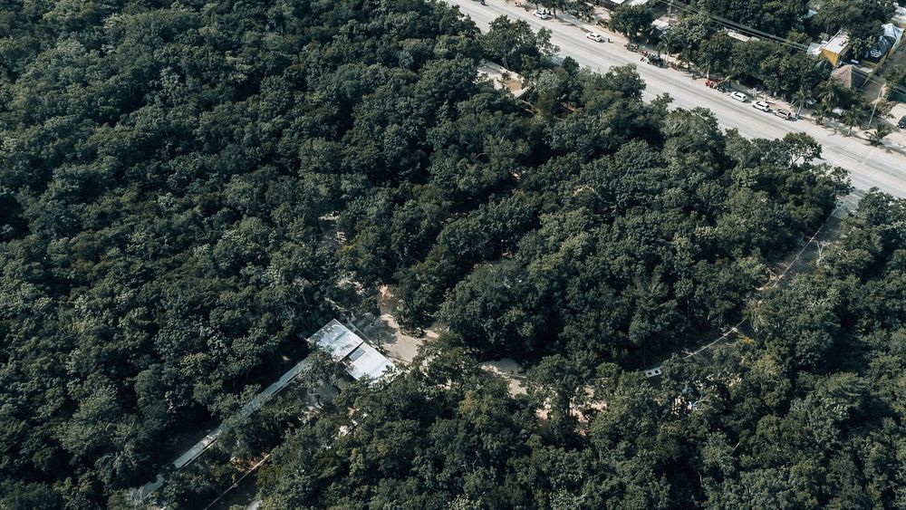 Invest in Titled Residential Lots at Bosque Tulum with Infrastructure - Photo 3