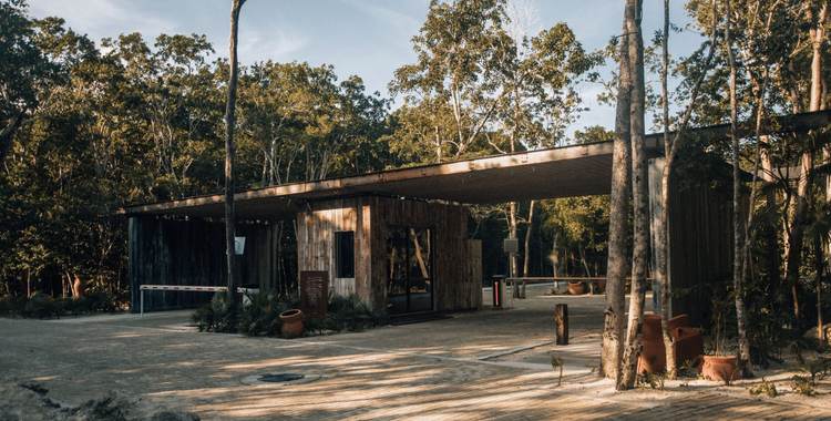 Invest in Titled Residential Lots at Bosque Tulum with Infrastructure - Photo 6 Invest in Titled Residential Lots at Bosque Tulum with Infrastructure - Photo 6