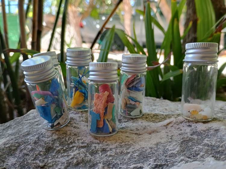 The SAK Program mobilizes volunteers in Tulum to fight plastic pollution and restore the sea - Photo 1 The SAK Program mobilizes volunteers in Tulum to fight plastic pollution and restore the sea - Photo 1