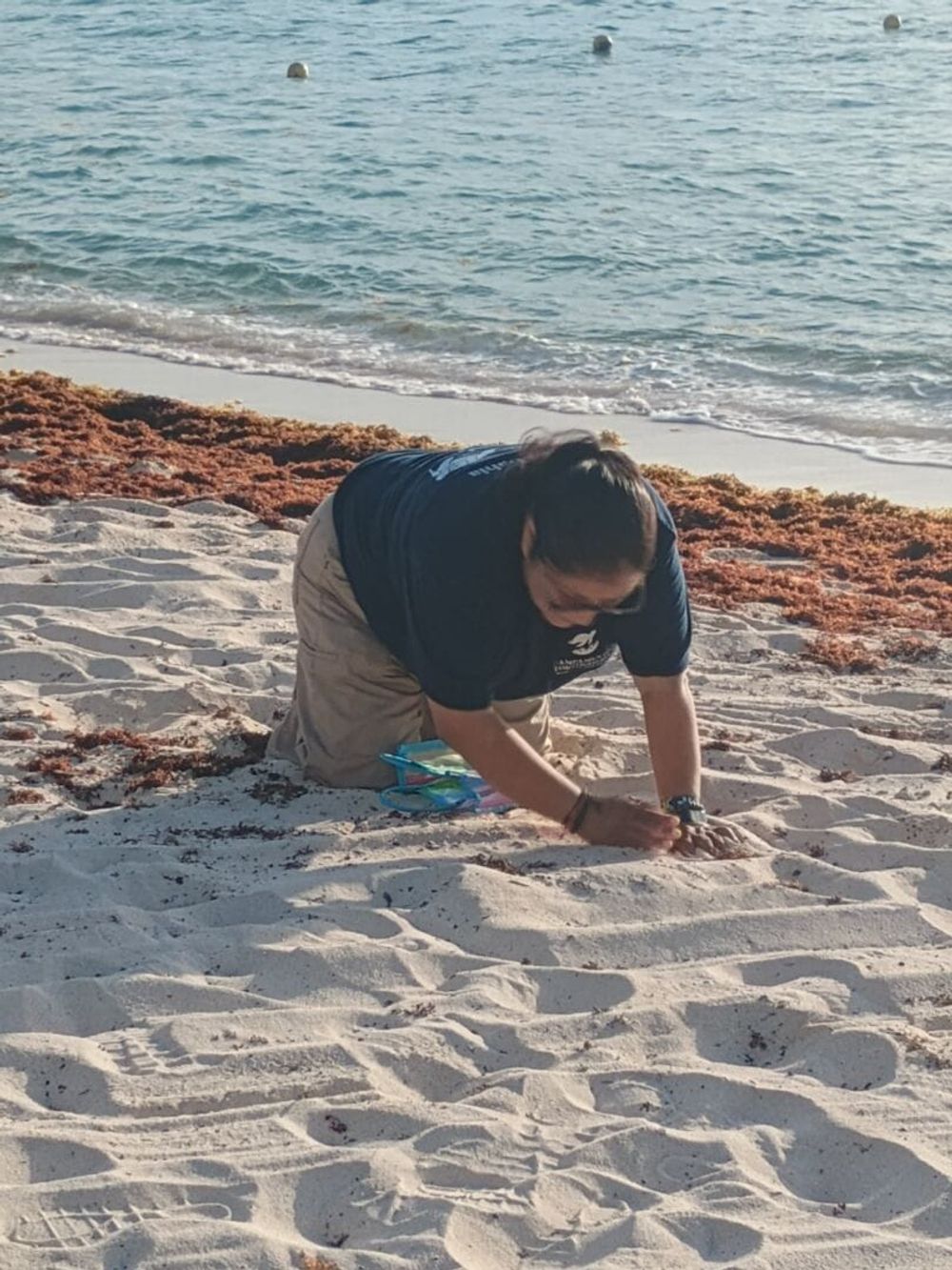 The SAK Program mobilizes volunteers in Tulum to fight plastic pollution and restore the sea - Photo 6