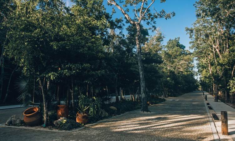 Invest in Titled Residential Lots at Bosque Tulum with Infrastructure - Photo 2 Invest in Titled Residential Lots at Bosque Tulum with Infrastructure - Photo 2