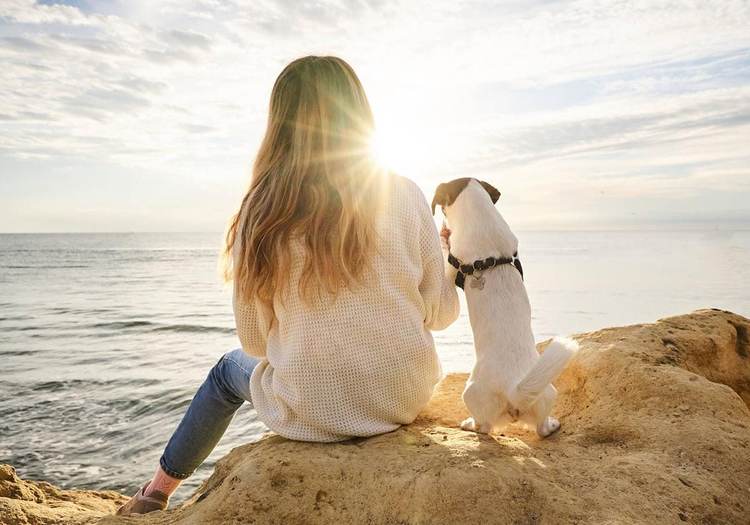 How to Prevent Heat Stroke in Dogs During the Hot Summer Months - Photo 6