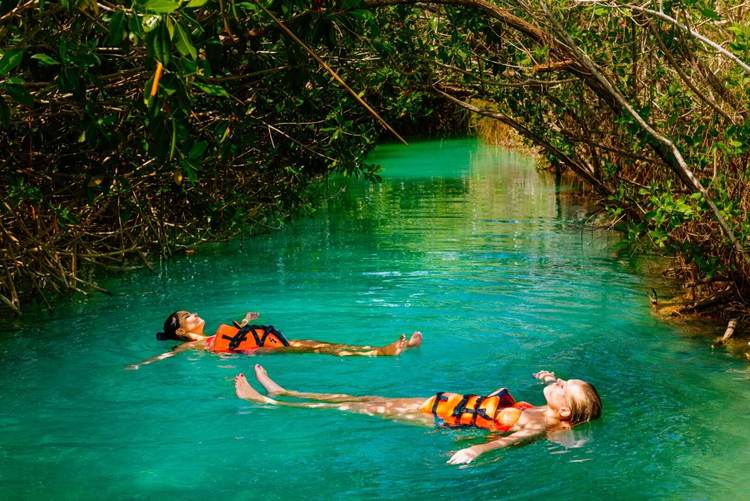 Why Eco Tourism in Tulum Feels Like Time Travel With a Pulse - Photo 3