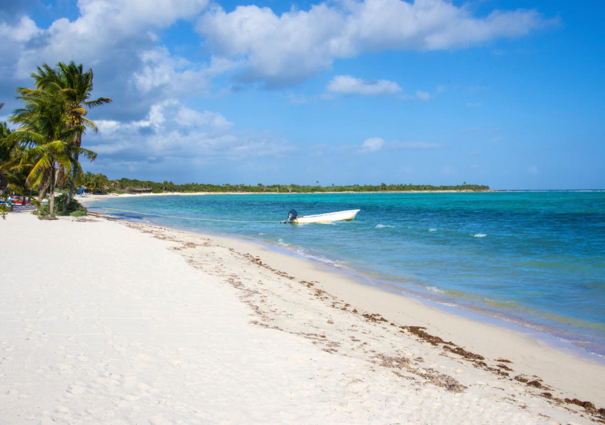 Soliman Law Emerges as Tulum’s Shield Against Urban Ecocide Soliman Law Emerges as Tulum’s Shield Against Urban Ecocide