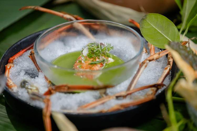 Inside the Tulum Food Festival Where the Ocean Has the Final Word - Photo 4