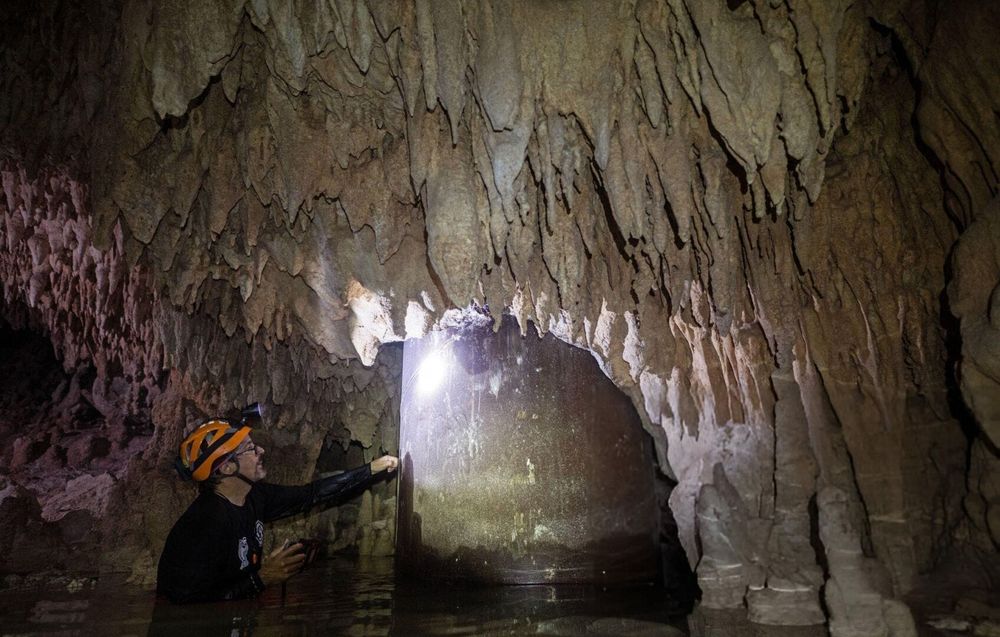 Beneath the Tren Maya Tracks Lies a World on the Edge of Collapse - Photo 4