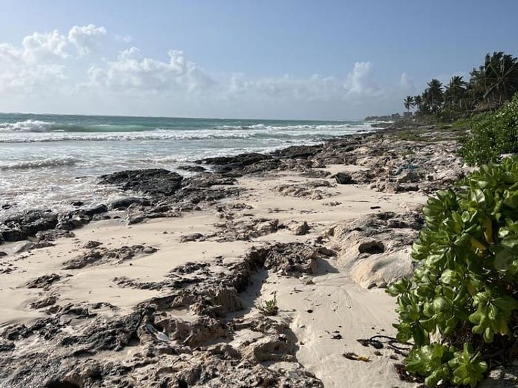 Tulum Offers Free Pedestrian Access to Mangle Beach Amid Protest Plans - Photo 2