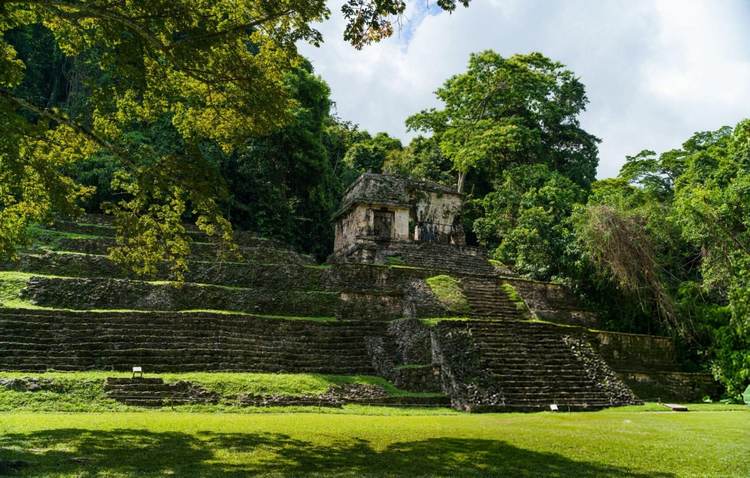 Maya Forest Agreement Unites Mexico, Guatemala, and Belize in Landmark Conservation Pact - Photo 4 Maya Forest Agreement Unites Mexico, Guatemala, and Belize in Landmark Conservation Pact - Photo 4