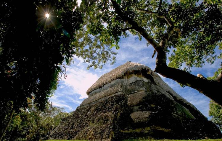 Maya Forest Agreement Unites Mexico, Guatemala, and Belize in Landmark Conservation Pact - Photo 3 Maya Forest Agreement Unites Mexico, Guatemala, and Belize in Landmark Conservation Pact - Photo 3
