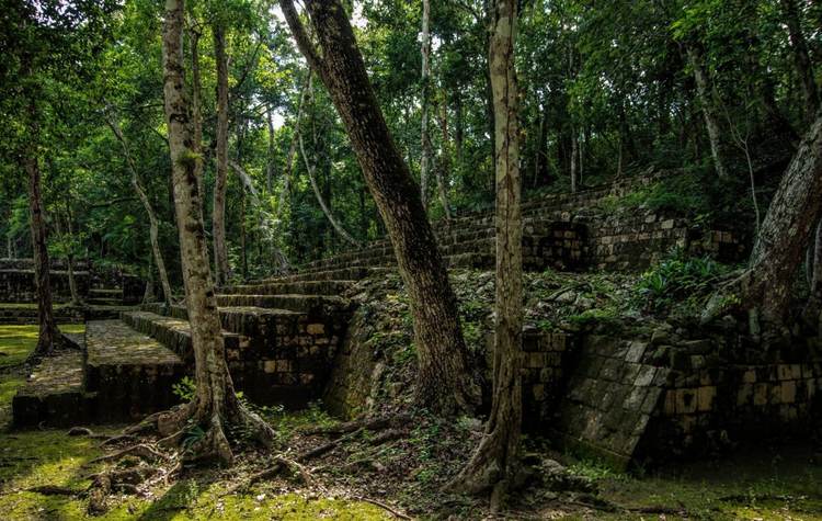 Maya Forest Agreement Unites Mexico, Guatemala, and Belize in Landmark Conservation Pact - Photo 2 Maya Forest Agreement Unites Mexico, Guatemala, and Belize in Landmark Conservation Pact - Photo 2