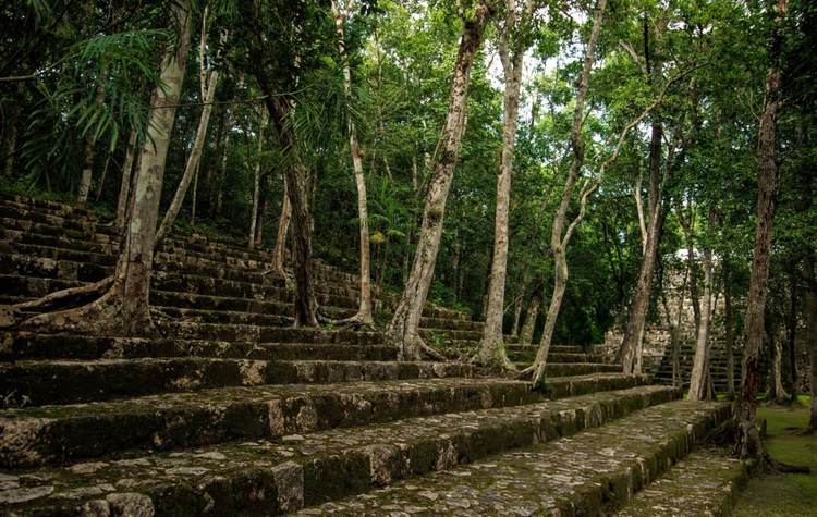 Maya Forest Agreement Unites Mexico, Guatemala, and Belize in Landmark Conservation Pact - Photo 1 Maya Forest Agreement Unites Mexico, Guatemala, and Belize in Landmark Conservation Pact - Photo 1
