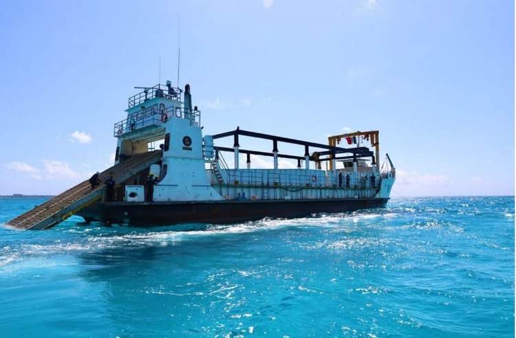 Navy Vessels Return to Tulum to Combat Sargassum Surge - Photo 2