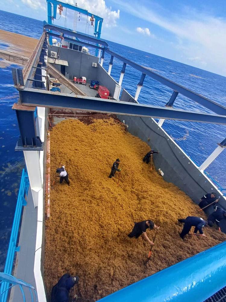 Navy Ships Return to Tulum to Combat Record Sargassum Surge - Photo 2