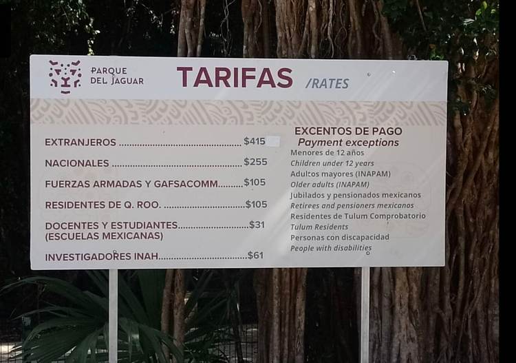 Long Walks and No Bathrooms: The Harsh Cost of Reaching Tulum’s Beaches - Photo 2 Long Walks and No Bathrooms: The Harsh Cost of Reaching Tulum’s Beaches - Photo 2