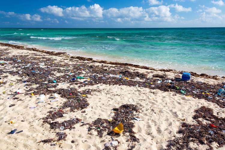 Ghosts in the Sand: The Plastic Waste Tourism Won’t Ignore - Photo 1 Ghosts in the Sand: The Plastic Waste Tourism Won’t Ignore - Photo 1