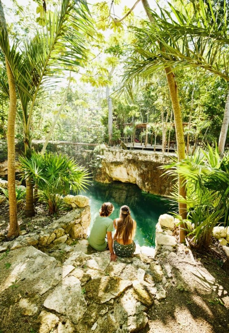 New Eco-Tourism Route Unites Tulum, Mérida, and Cozumel Around Cenotes - Photo 2 New Eco-Tourism Route Unites Tulum, Mérida, and Cozumel Around Cenotes - Photo 2