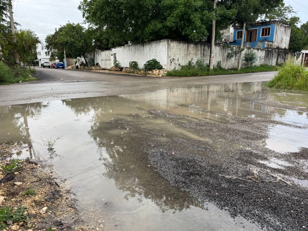 La Veleta’s residents feel abandoned as Tulum expands - Photo 3