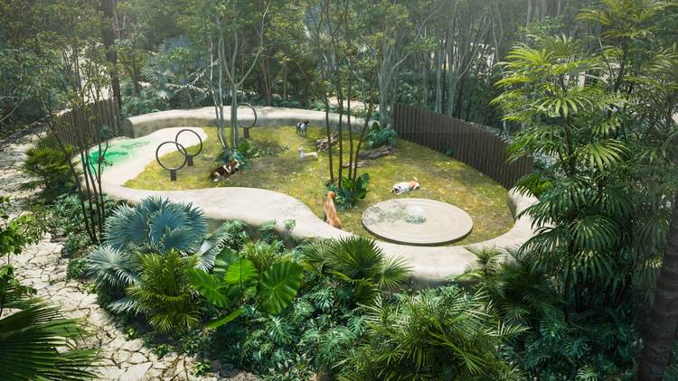 Ramia defines a new standard of private living in the heart of Tulum - Photo 6