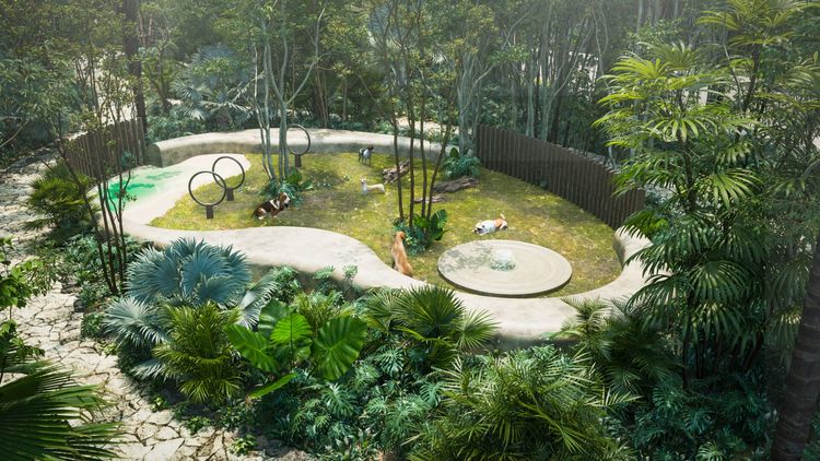 Ramia defines a new standard of private living in the heart of Tulum - Photo 6 Ramia defines a new standard of private living in the heart of Tulum - Photo 6