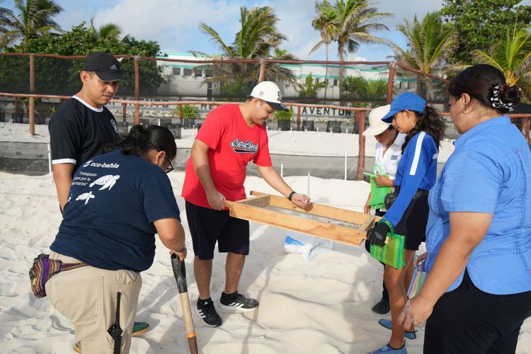 Marine pollution cleanup in Tulum collects over 240 nurdles this summer - Photo 1 Marine pollution cleanup in Tulum collects over 240 nurdles this summer - Photo 1