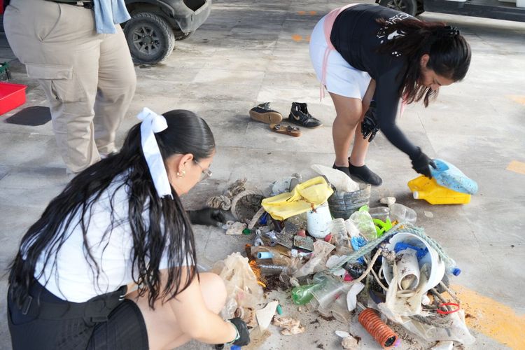 Marine pollution cleanup in Tulum collects over 240 nurdles this summer - Photo 2 Marine pollution cleanup in Tulum collects over 240 nurdles this summer - Photo 2