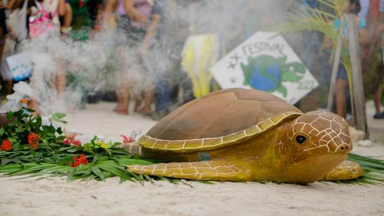 Sea Turtle Festival returns to Tulum, Akumal and Xcacel this October - Photo 1