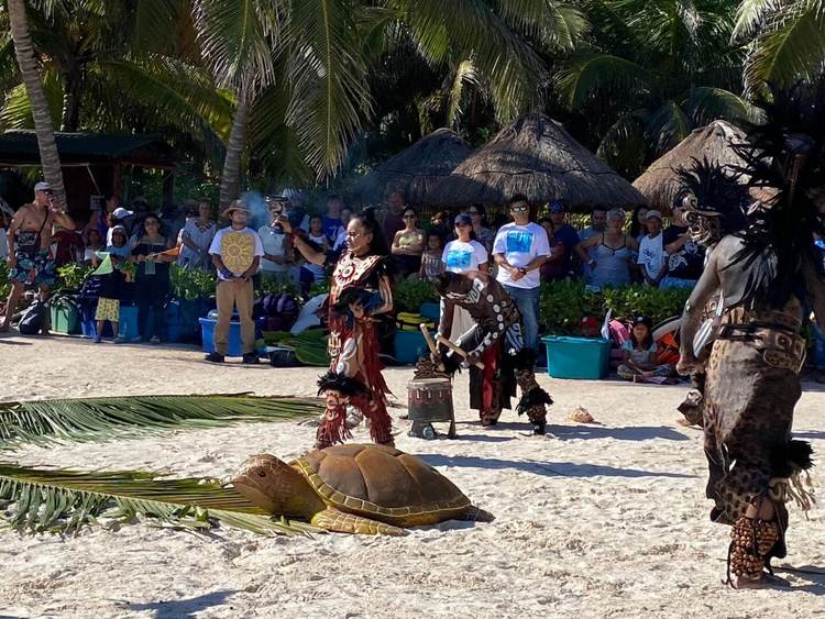 Sea Turtle Festival returns to Tulum, Akumal and Xcacel this October - Photo 2