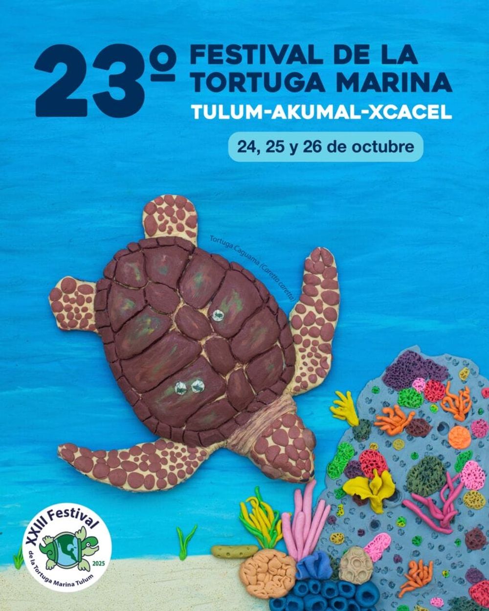 Sea Turtle Festival returns to Tulum, Akumal and Xcacel this October - Photo 3