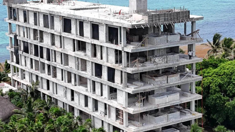 Judge halts Adamar project in Tulum over environmental violations - Photo 2 Judge halts Adamar project in Tulum over environmental violations - Photo 2