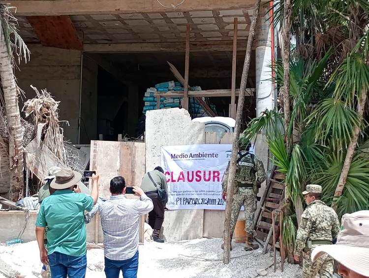 Judge halts Adamar project in Tulum over environmental violations - Photo 3 Judge halts Adamar project in Tulum over environmental violations - Photo 3