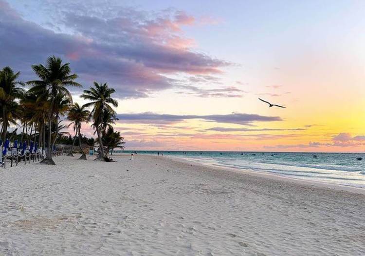 Is Tulum Safe to Visit in Winter 2026 for Travelers? - Photo 8 Is Tulum Safe to Visit in Winter 2026 for Travelers? - Photo 8