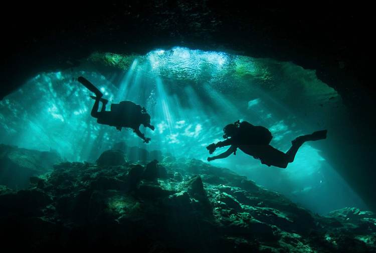 Cenote diving in Tulum uncovers a vast world beneath the jungle floor - Photo 5 Cenote diving in Tulum uncovers a vast world beneath the jungle floor - Photo 5