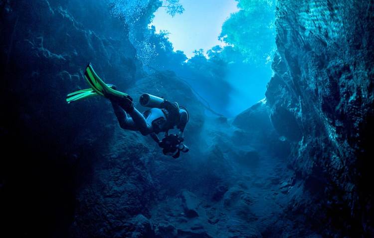 Cenote diving in Tulum uncovers a vast world beneath the jungle floor - Photo 4 Cenote diving in Tulum uncovers a vast world beneath the jungle floor - Photo 4