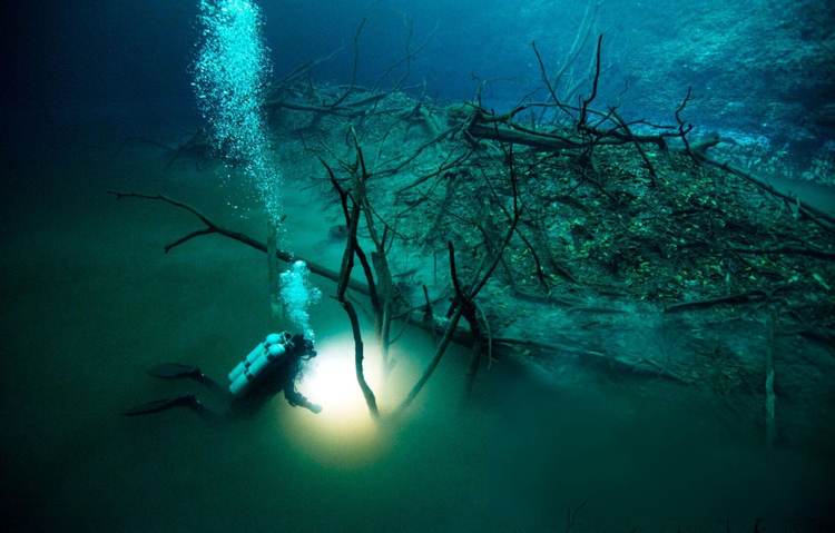Cenote diving in Tulum uncovers a vast world beneath the jungle floor - Photo 3 Cenote diving in Tulum uncovers a vast world beneath the jungle floor - Photo 3