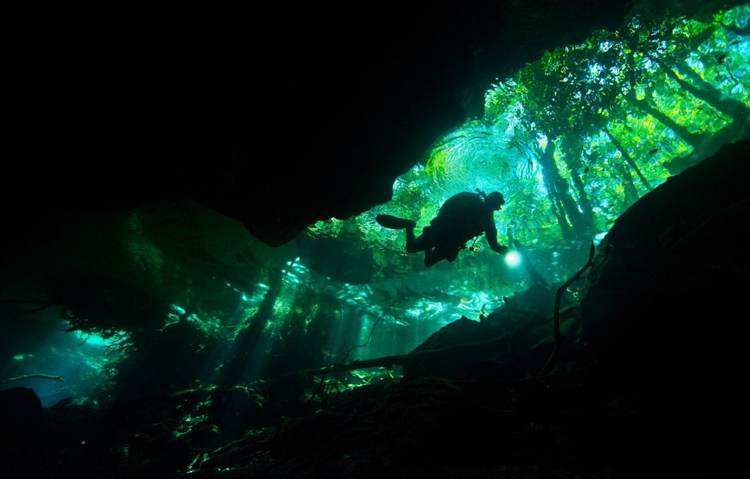 Cenote diving in Tulum uncovers a vast world beneath the jungle floor - Photo 2 Cenote diving in Tulum uncovers a vast world beneath the jungle floor - Photo 2
