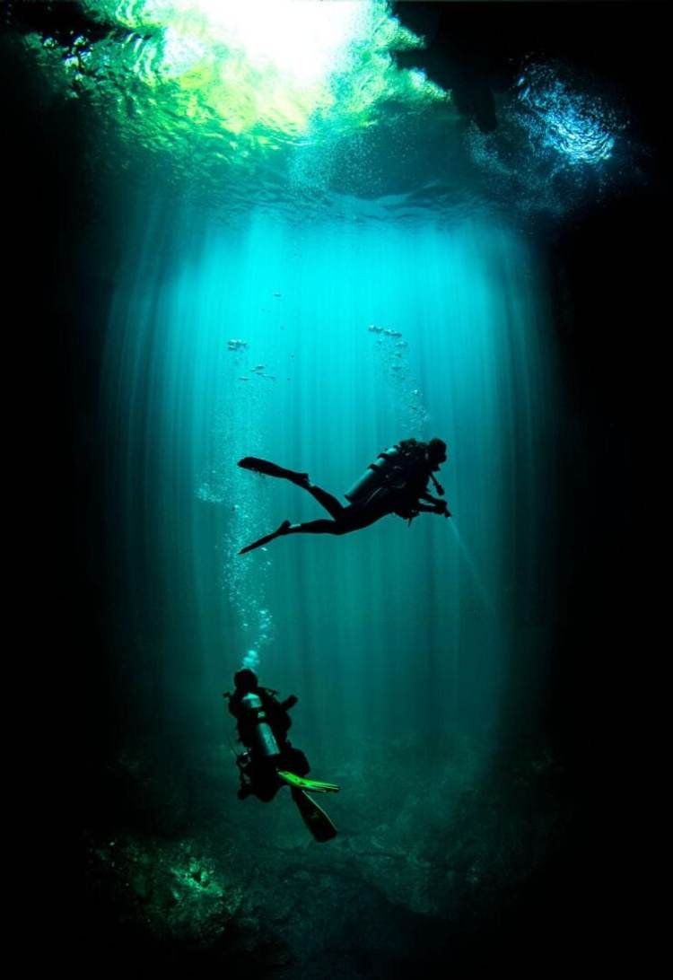 Cenote diving in Tulum uncovers a vast world beneath the jungle floor - Photo 7 Cenote diving in Tulum uncovers a vast world beneath the jungle floor - Photo 7
