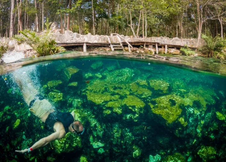 Cenote diving in Tulum uncovers a vast world beneath the jungle floor - Photo 1 Cenote diving in Tulum uncovers a vast world beneath the jungle floor - Photo 1