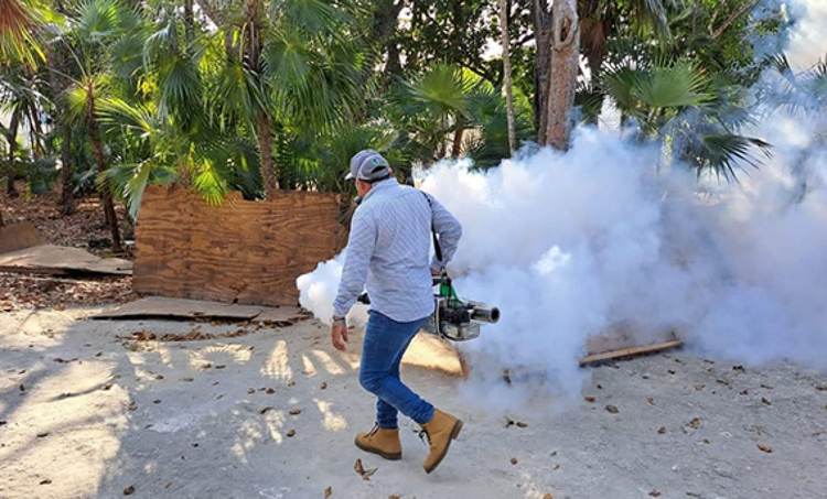 Mosquitoes surge in Tulum amid rainy season conditions - Photo 2 Mosquitoes surge in Tulum amid rainy season conditions - Photo 2