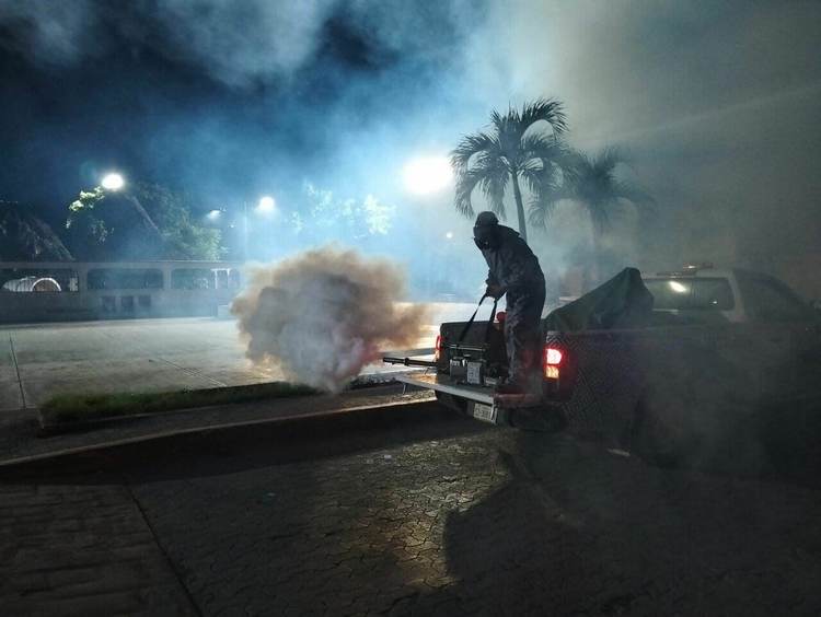 Mosquitoes surge in Tulum amid rainy season conditions - Photo 4 Mosquitoes surge in Tulum amid rainy season conditions - Photo 4