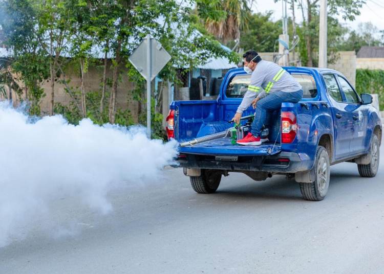 Mosquitoes surge in Tulum amid rainy season conditions - Photo 5 Mosquitoes surge in Tulum amid rainy season conditions - Photo 5
