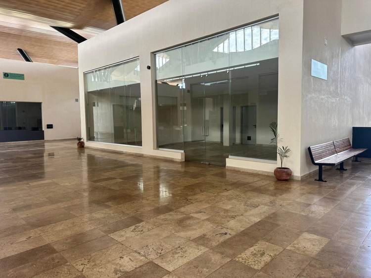 The silence inside Tulum’s Tren Maya terminal tells its own story - Photo 2