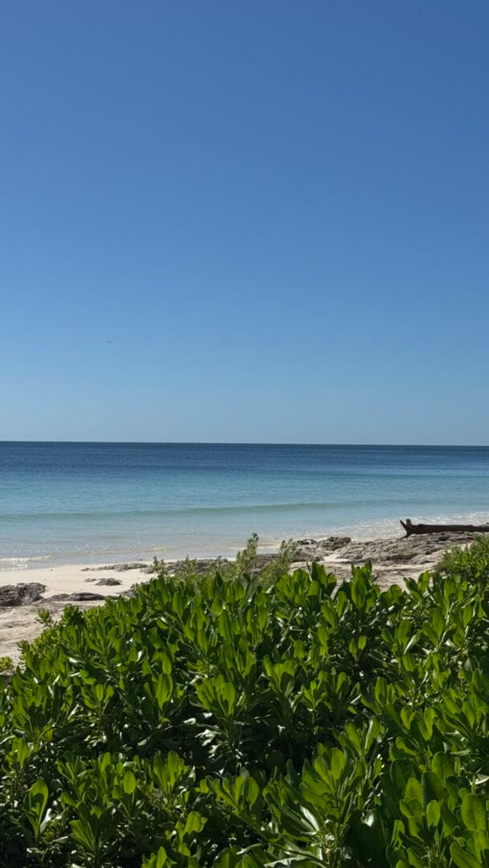 Tulum reopens stronger than ever with clear skies, clean beaches, and better prices - Photo 2