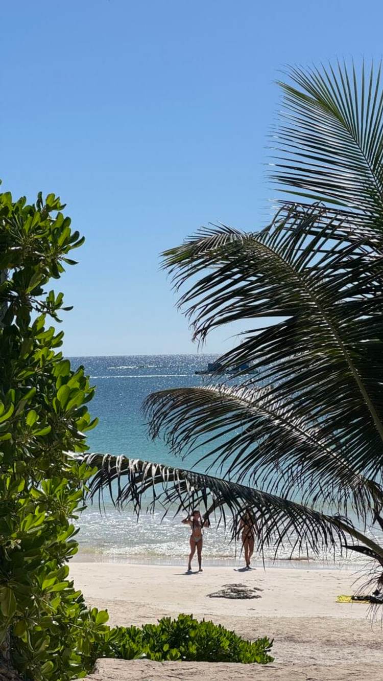Tulum reopens stronger than ever with clear skies, clean beaches, and better prices - Photo 1